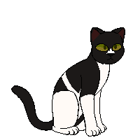 Orchid Whisker